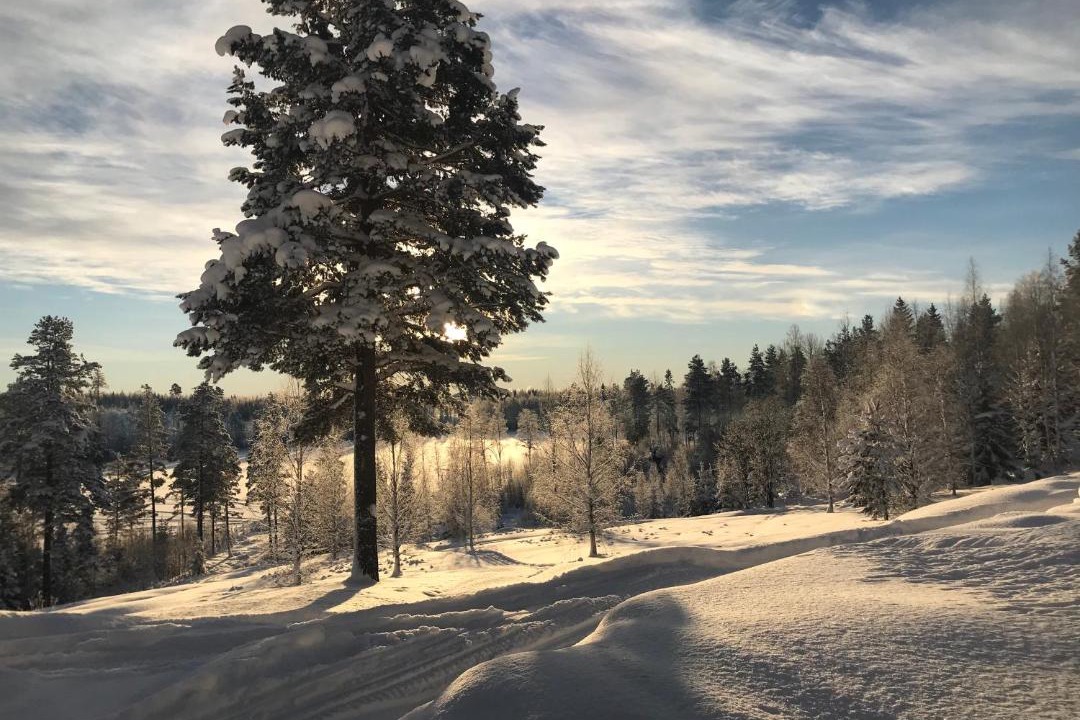 Photo of Others in Strombacka