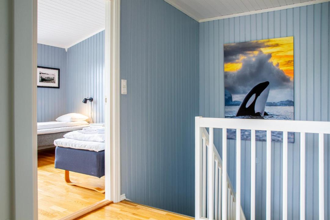 Photo of Others in Svolvaer