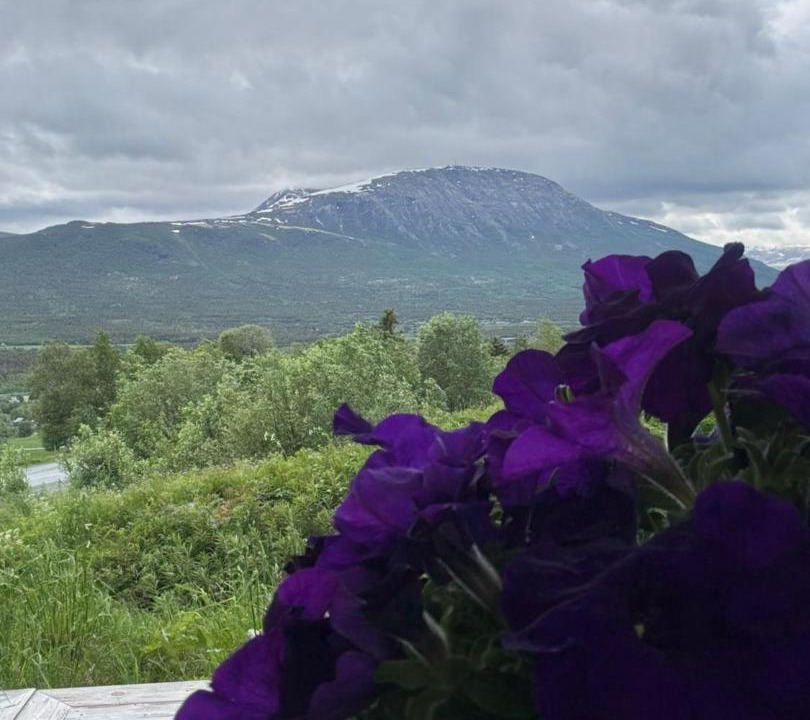 Photo of Others in Oppdal