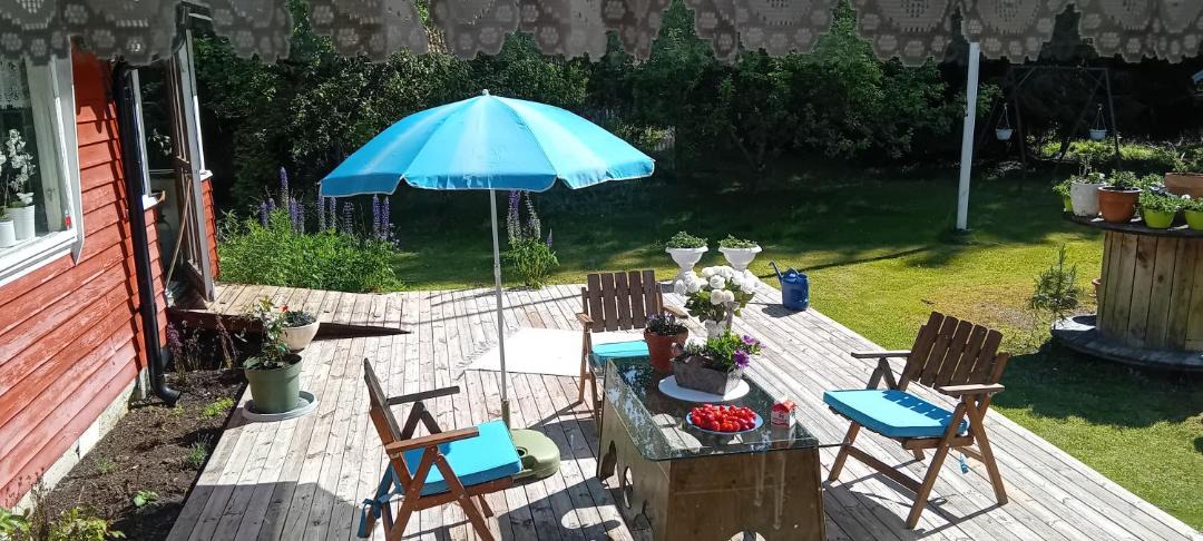 Photo of Patio Balcony in Vase