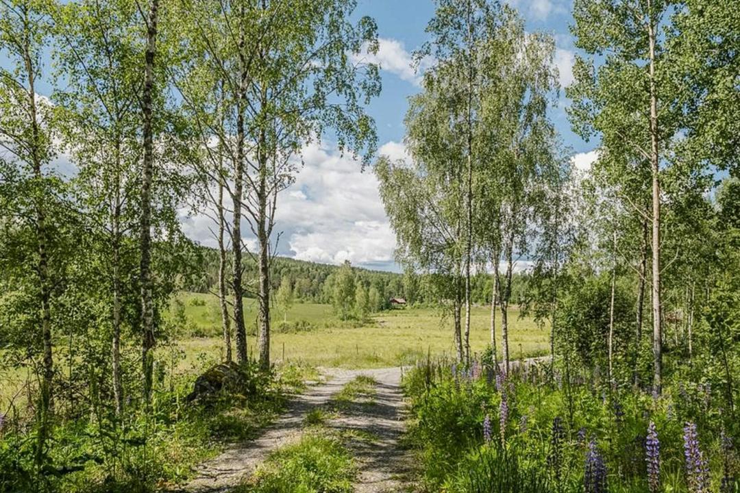Photo of Others in Arvika