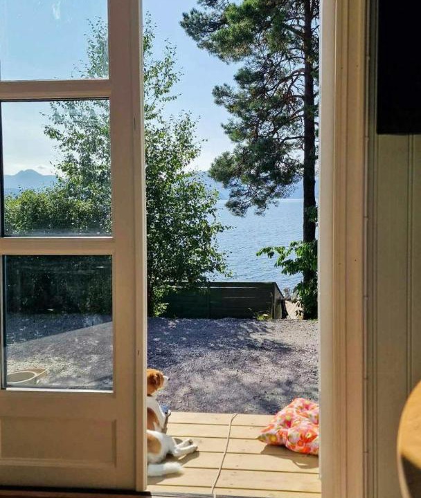 Photo of Others in Torjulvagen