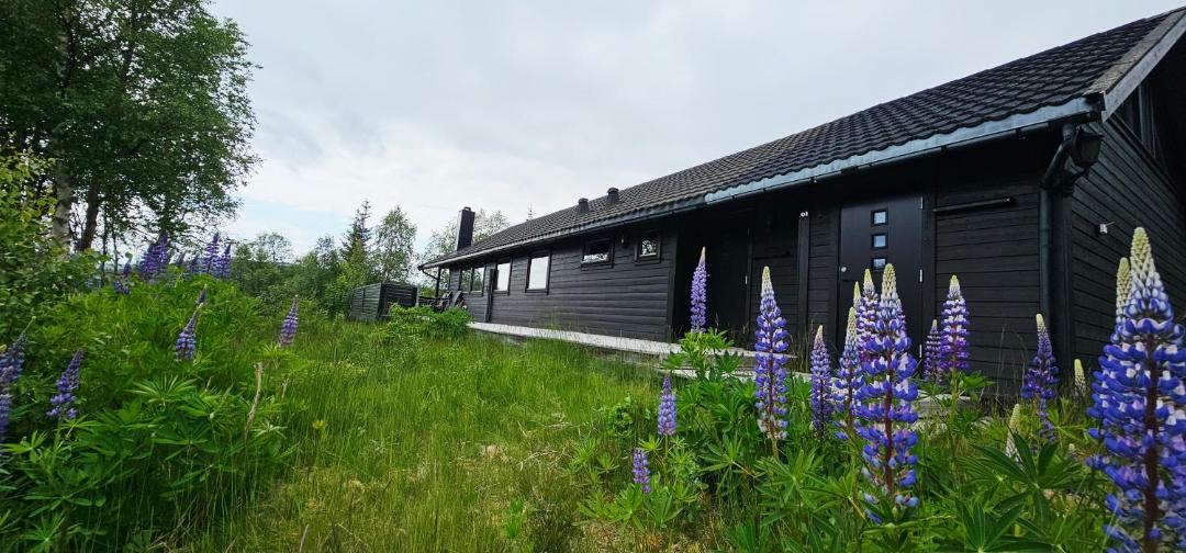 Photo of Others in Sirdal