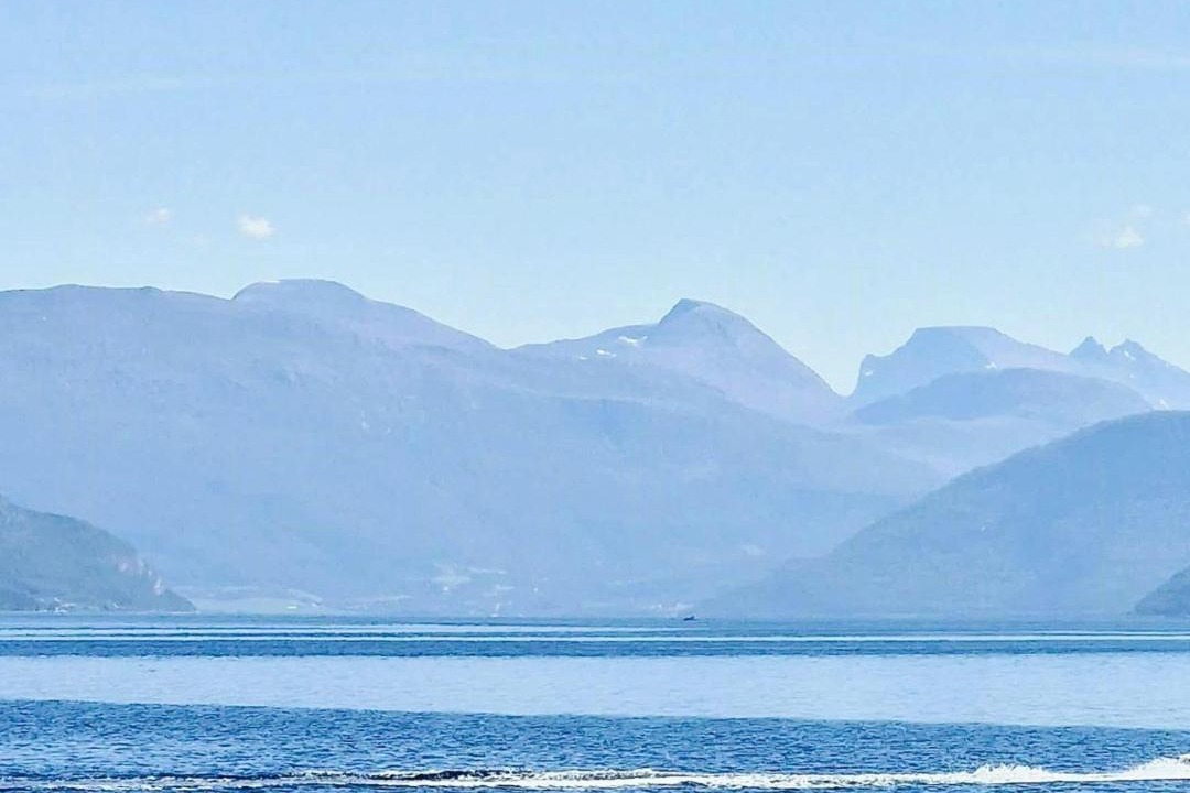 Photo of Others in Torjulvagen