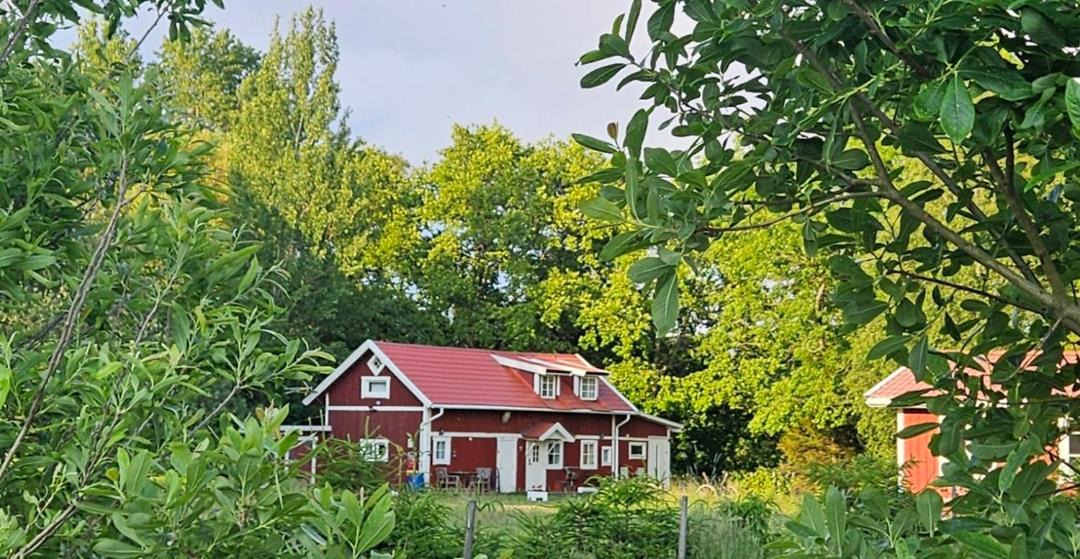 Photo of Others in Stora Mellosa