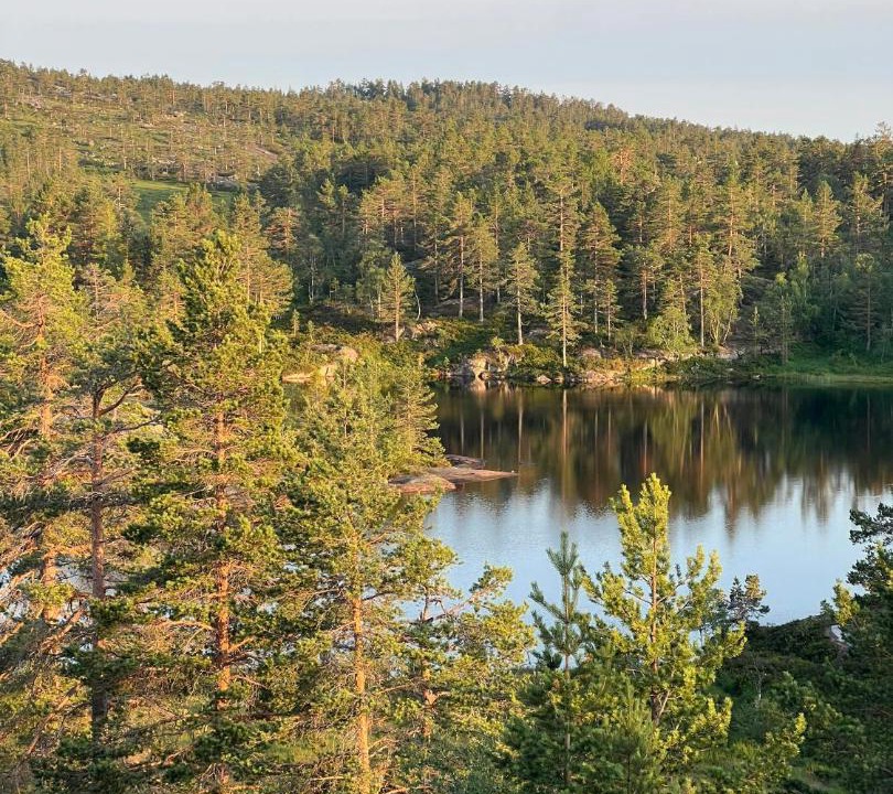 Photo of Others in Nissedal
