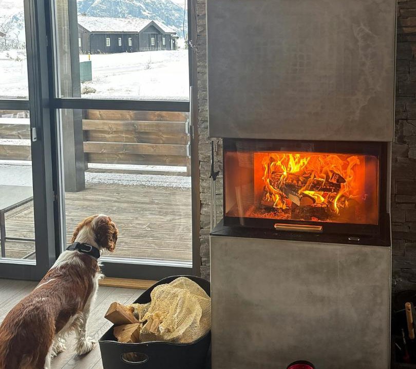 Photo of Others in Hemsedal