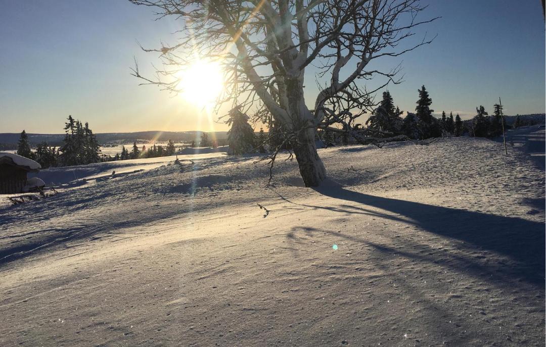 Photo of Others in Sjusjoen