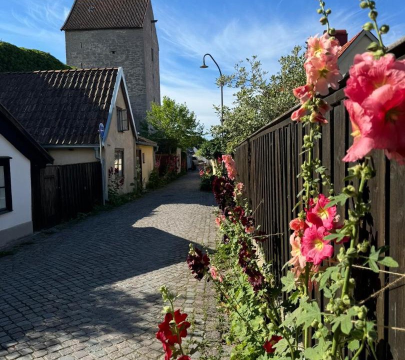 Photo of Others in Innerstaden