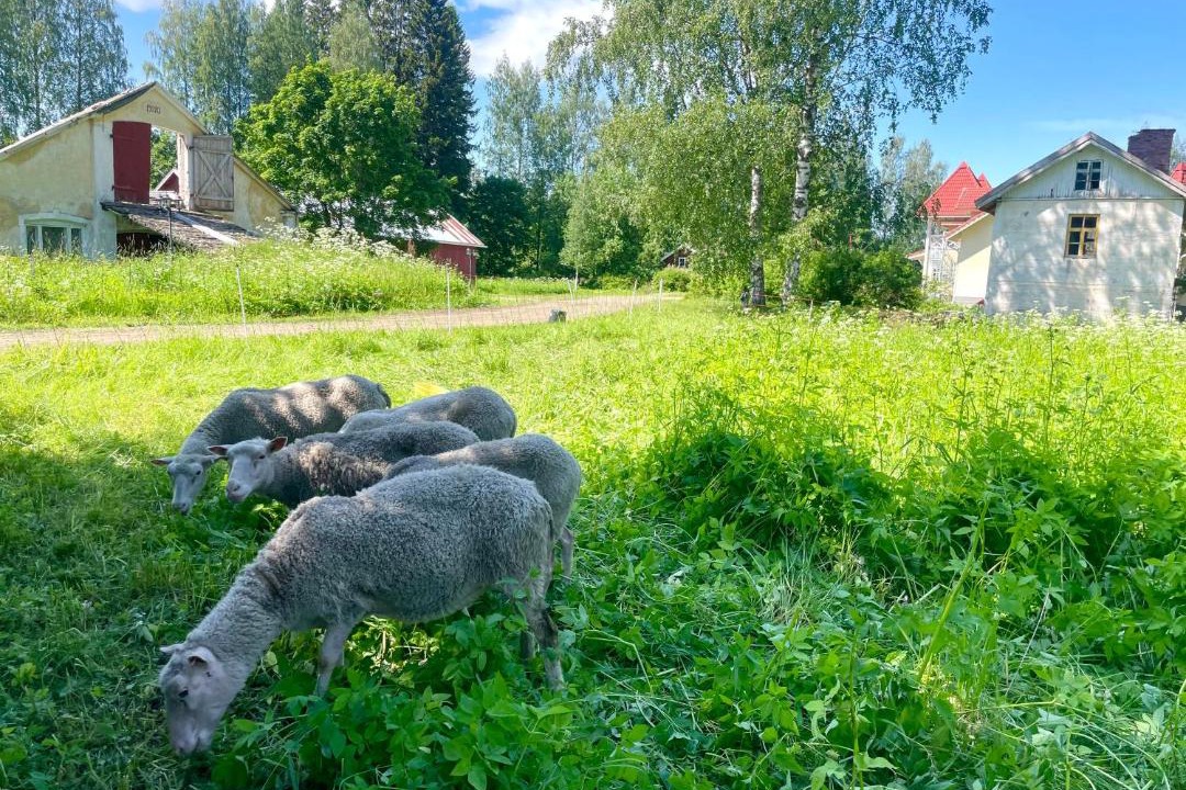 Photo of Others in Rantasalmi