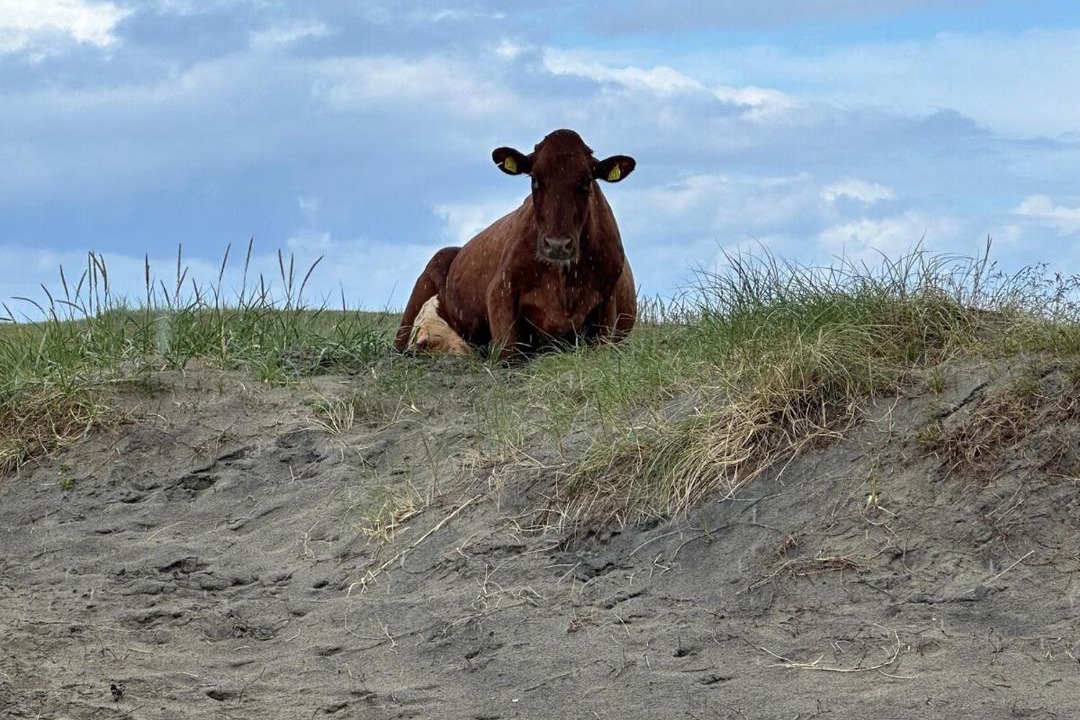 Photo of Others in Vigrestad
