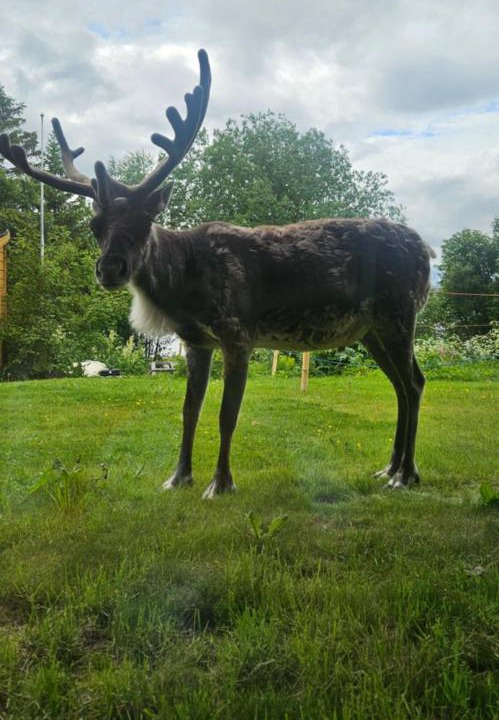 Photo of Others in Tromso