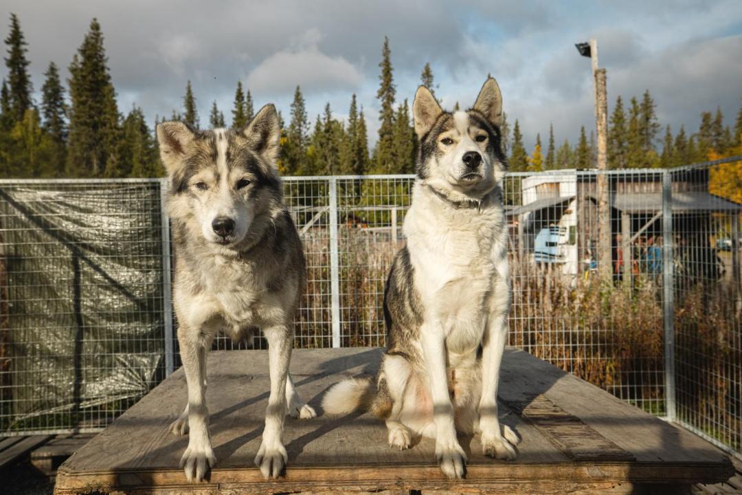 Photo of Others in Jukkasjarvi