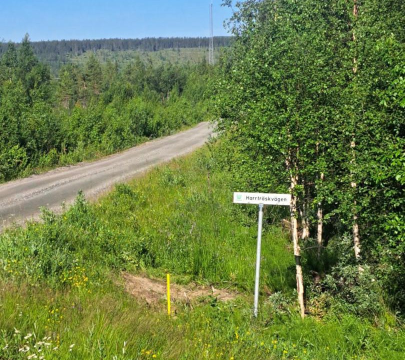 Photo of Others in Gallivare