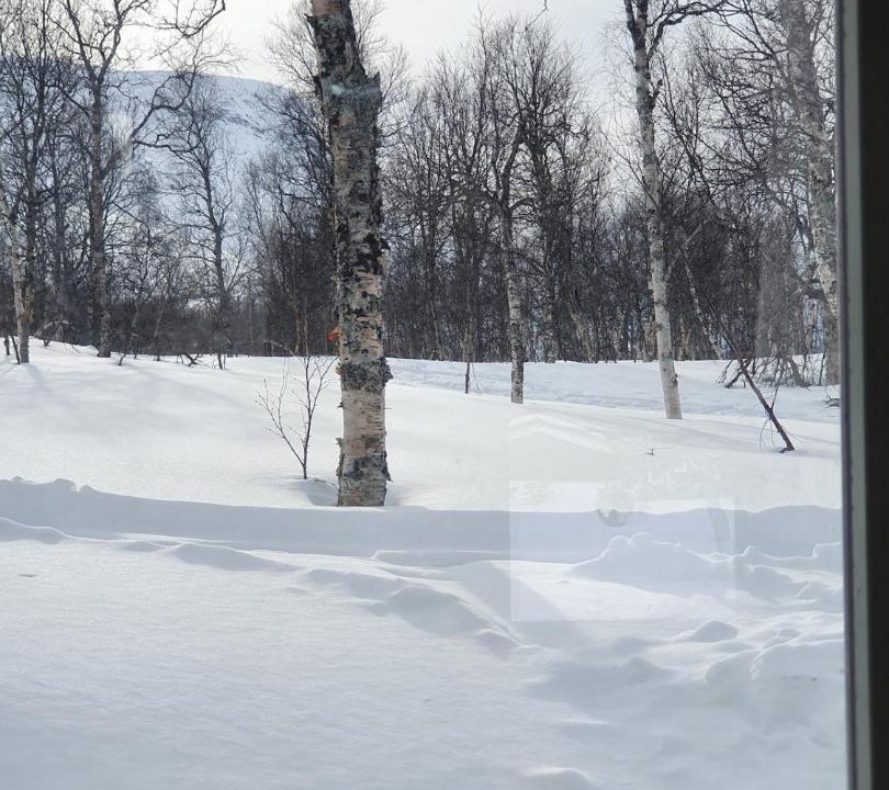 Photo of Others in Lavangen
