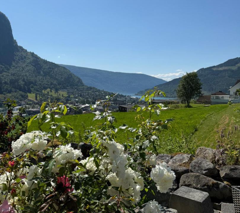 Photo of Others in Stryn