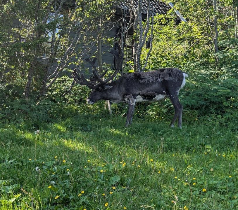 Photo of Others in Tromso