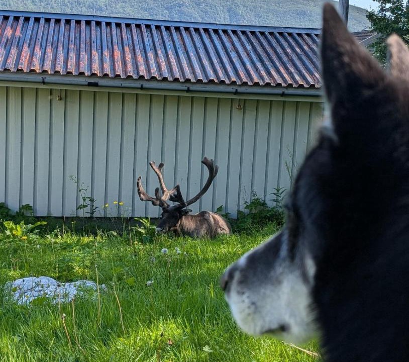 Photo of Others in Tromso