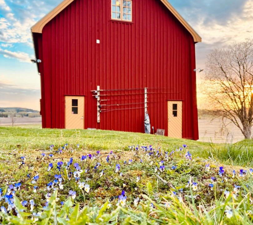 Photo of Others in Munkedal