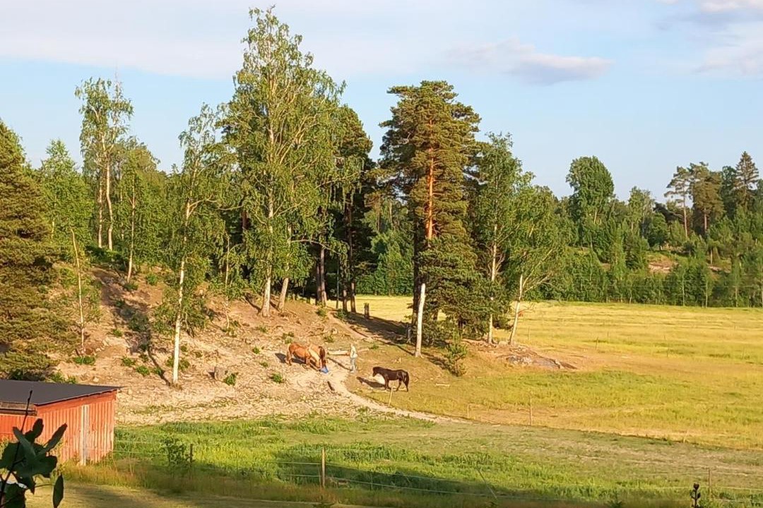 Photo of Others in Jarna