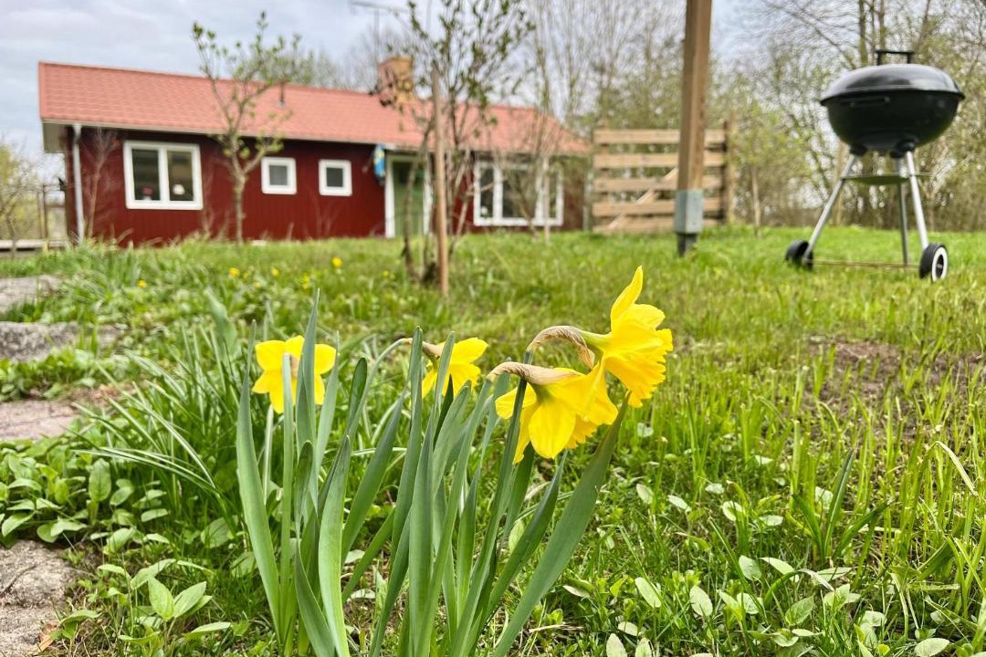 Photo of Outdoor in Vimmerby Municipality