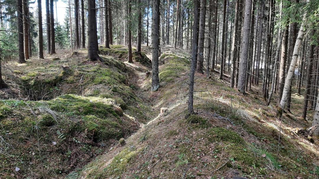 Photo of Others in Kontiolahti