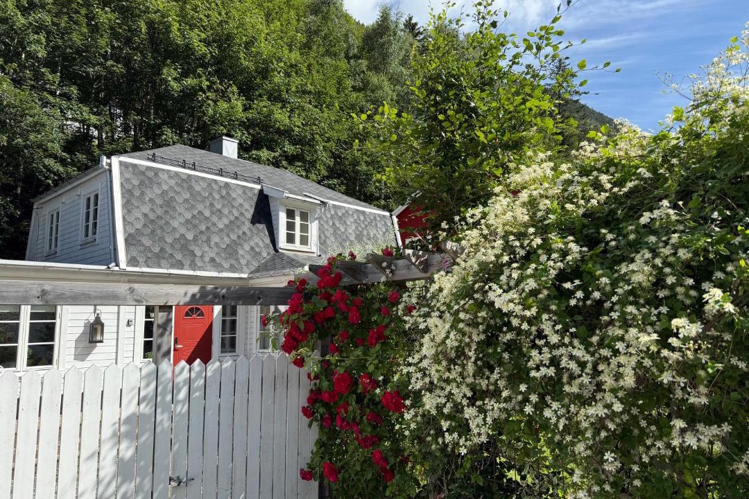 Photo of Others in Rjukan
