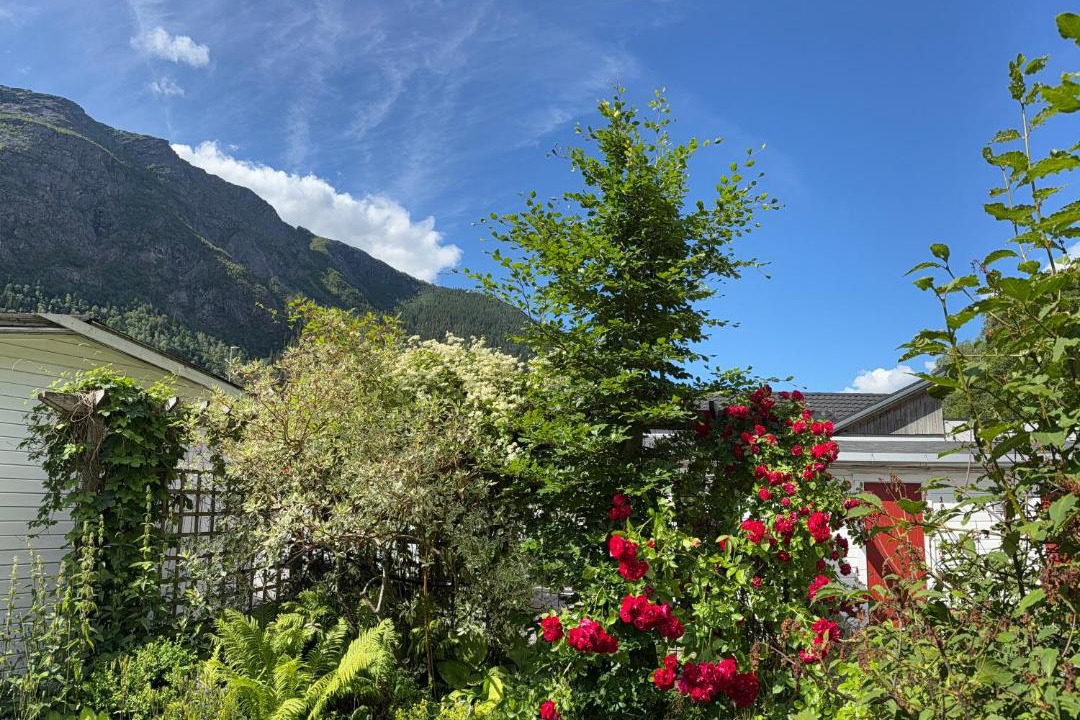 Photo of Others in Rjukan