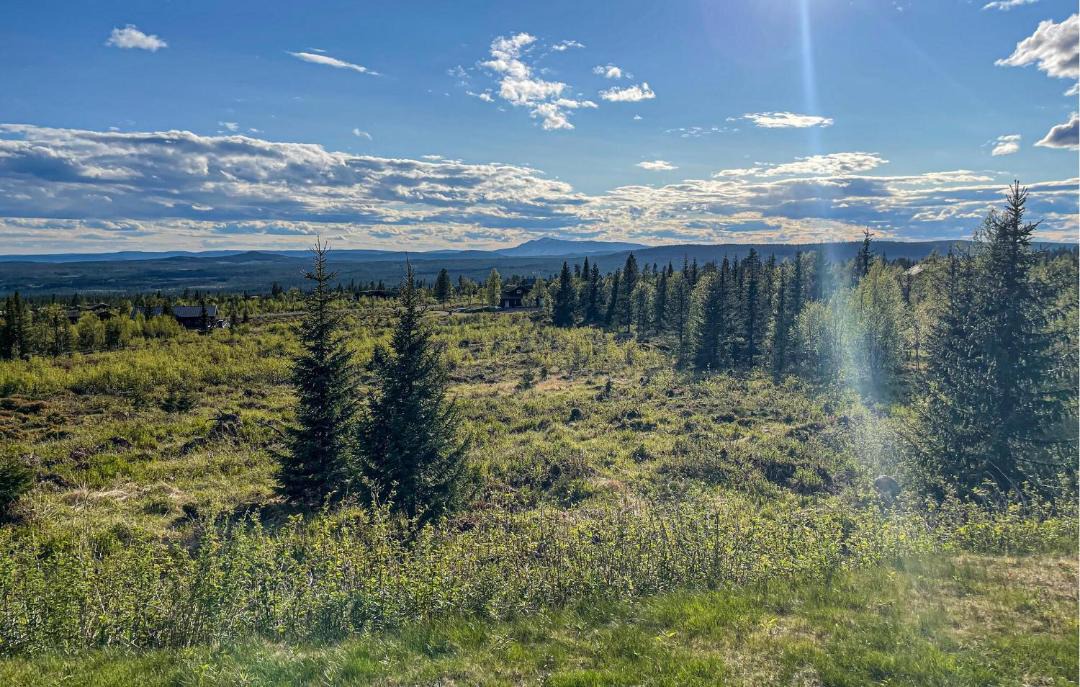 Photo of Others in Trysil
