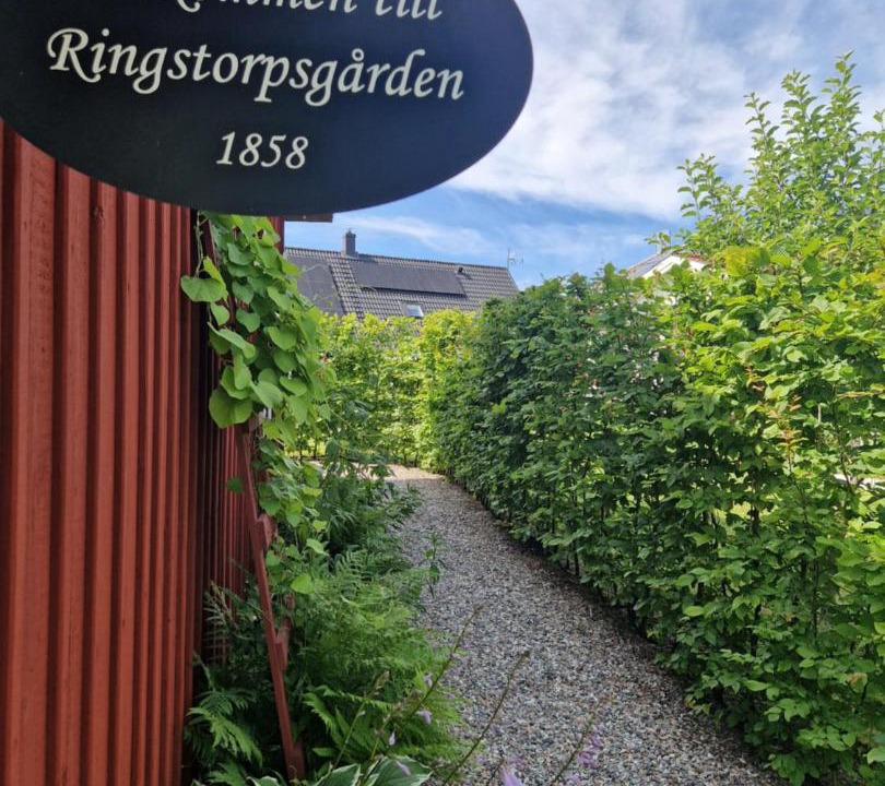 Photo of Others in Orebro