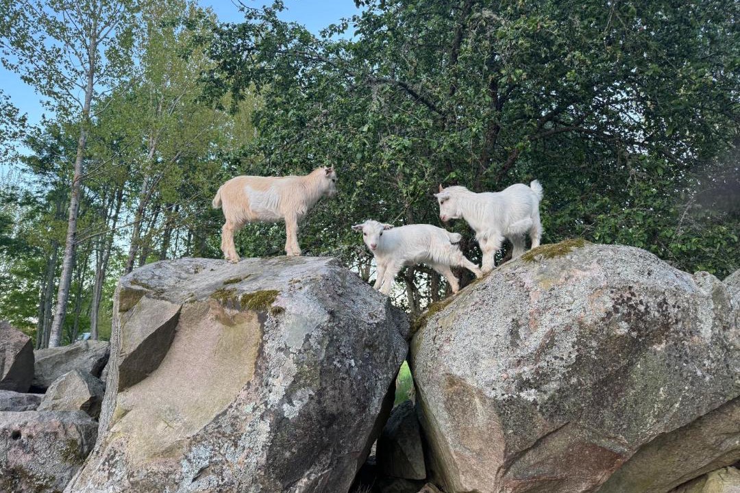 Photo of Outdoor in Vimmerby