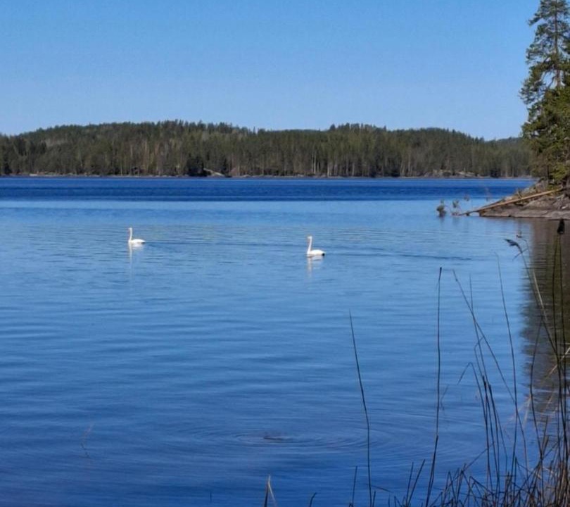 Photo of Others in Savonlinna