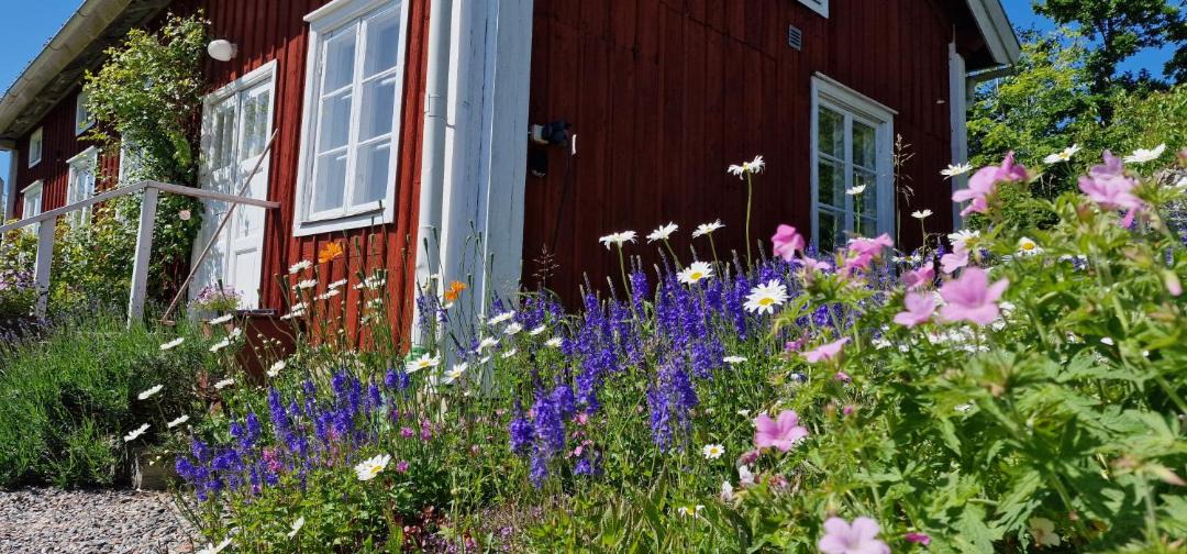 Photo of Others in Orebro