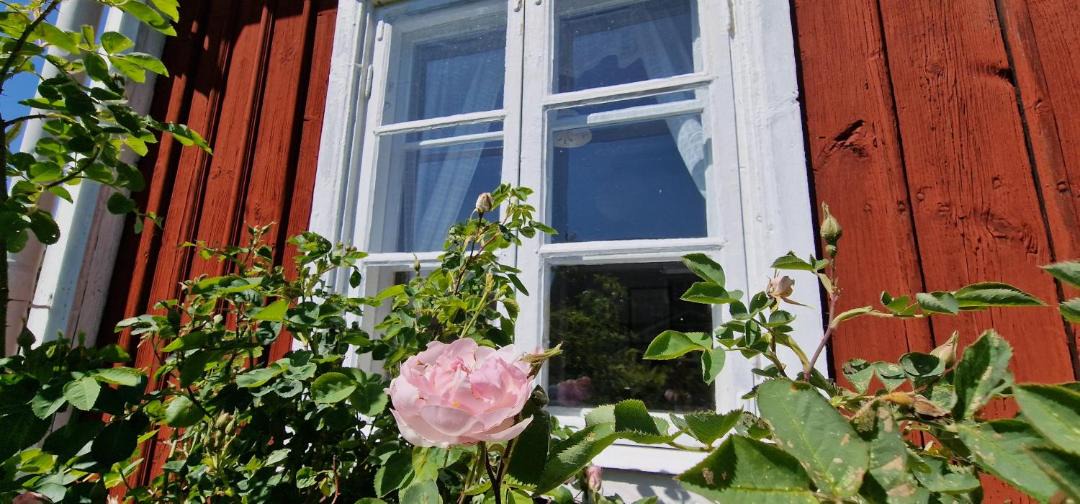 Photo of Others in Orebro