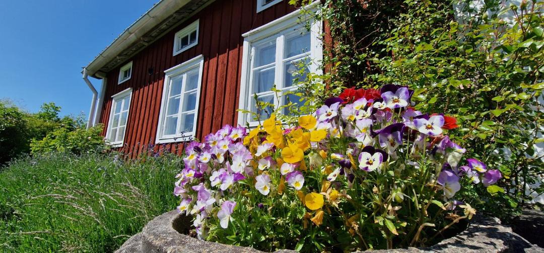 Photo of Others in Orebro