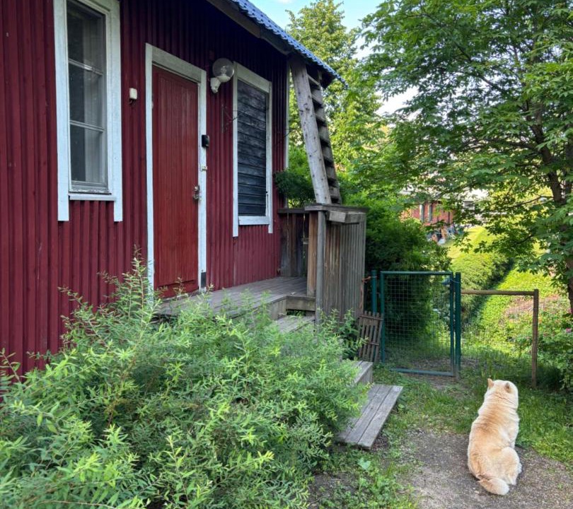 Photo of Others in Vihti