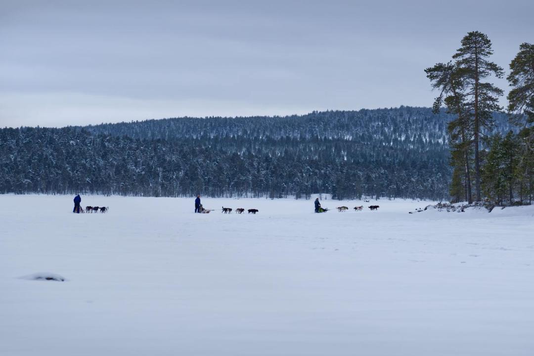 Photo of Others in Inari