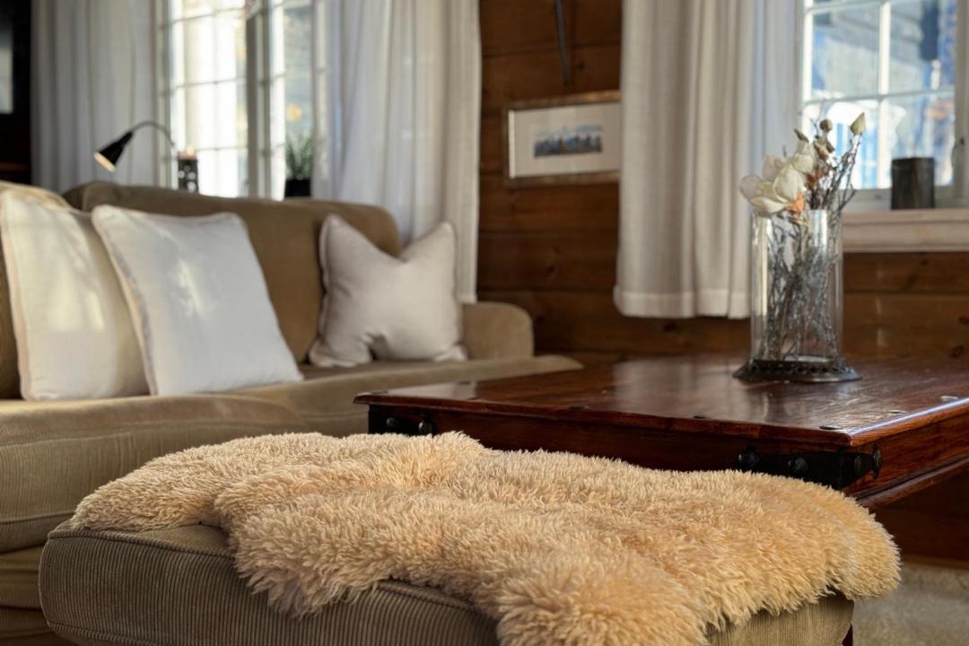 Photo of Livingroom in Beitostolen