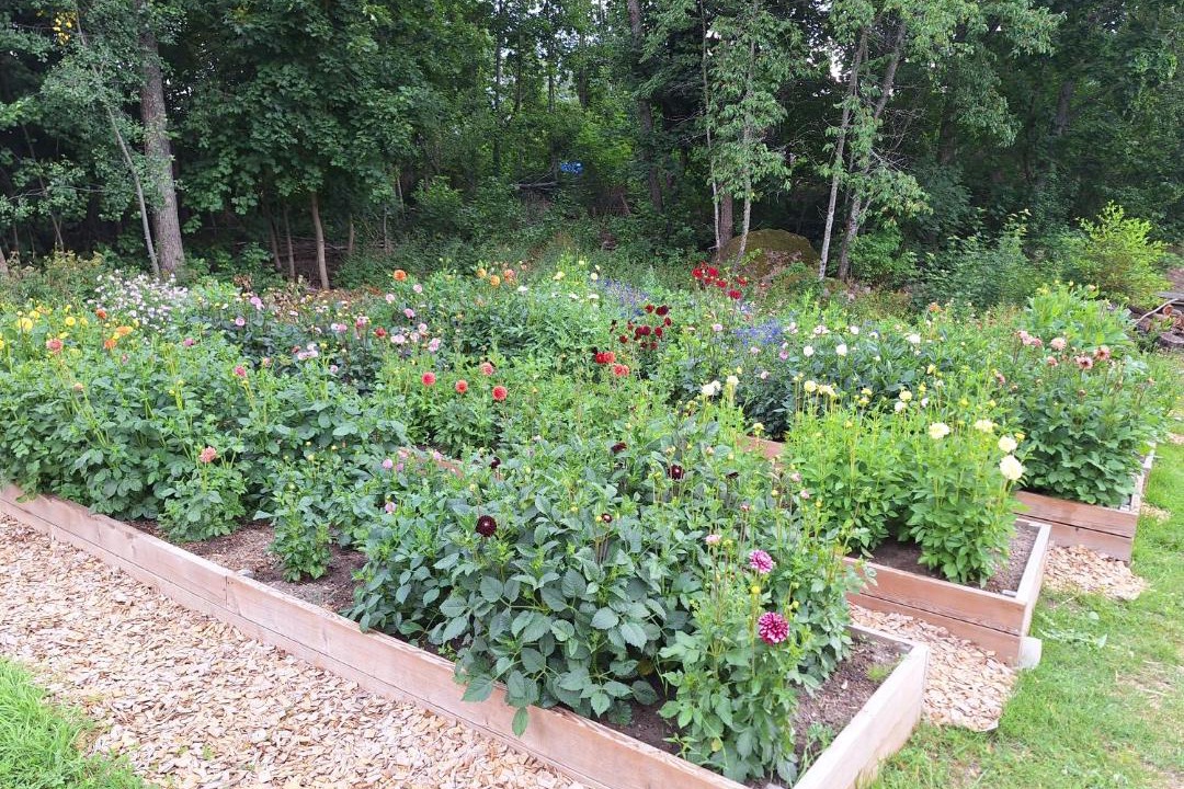 Photo of Outdoor in Kisa
