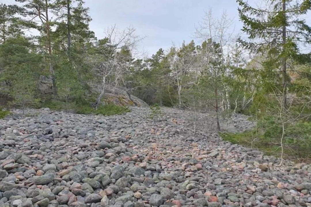 Photo of Others in Grisslehamn