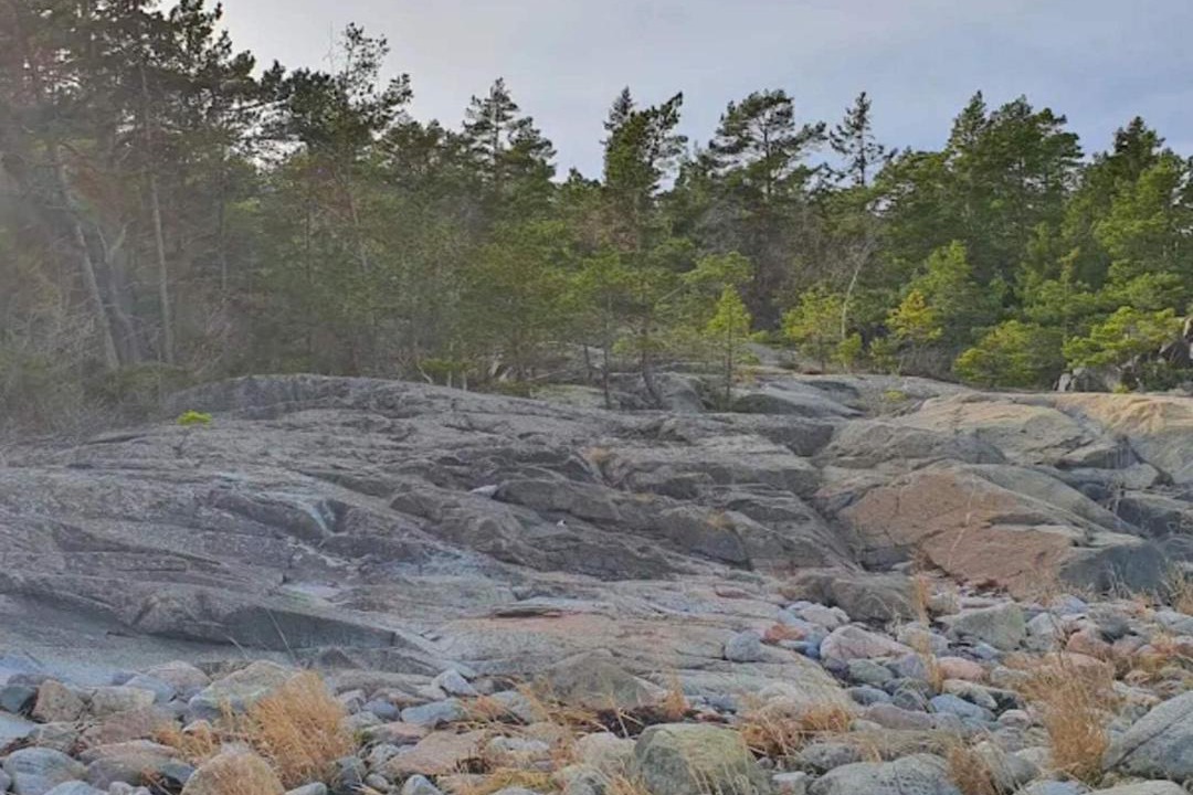 Photo of Others in Grisslehamn