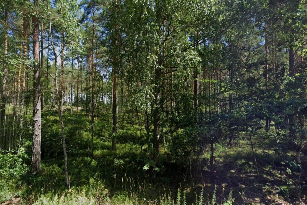 Photo of Others in Malmkoping