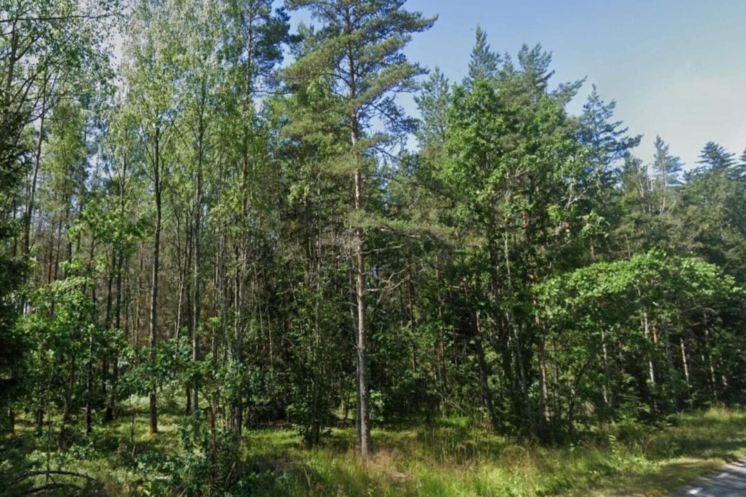 Photo of Others in Malmkoping