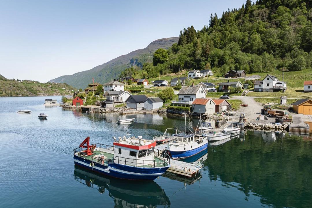 Photo of Others in Vik