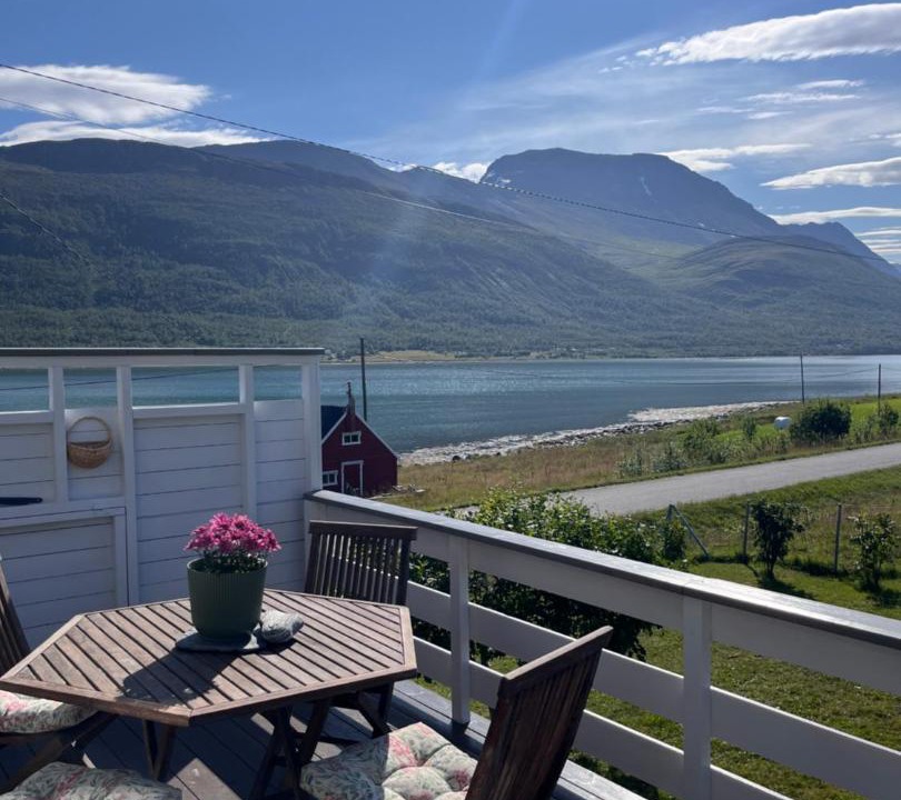 Photo of Others in Lyngen