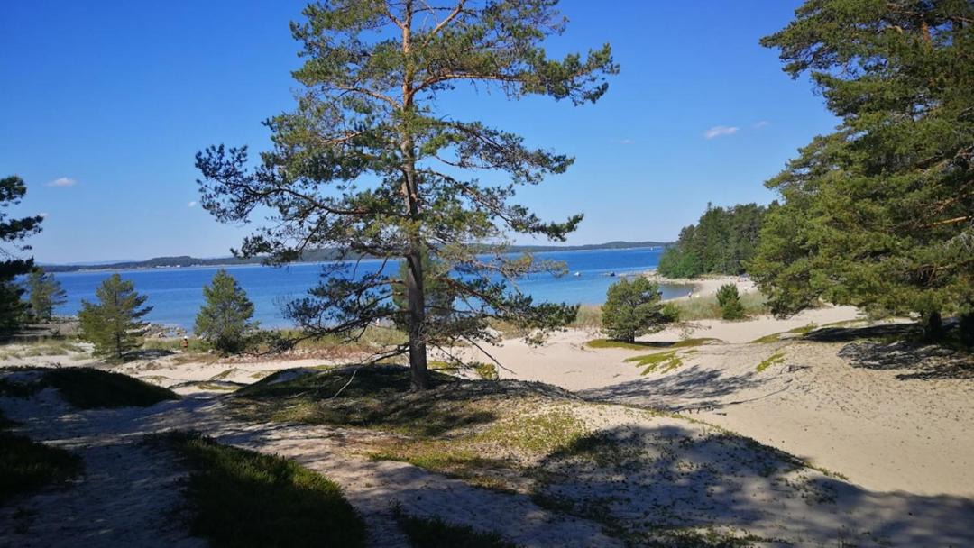 Photo of Others in Hudiksvall