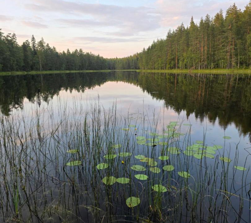 Photo of Others in Rautjarvi