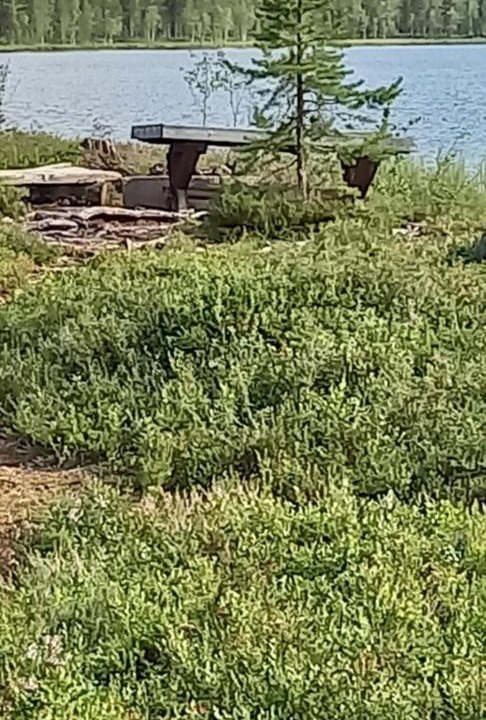 Photo of Others in Glommerstrask