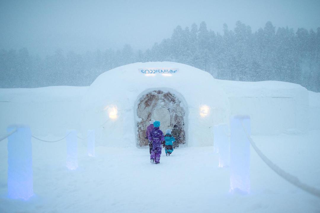 Photo of Others in Alta