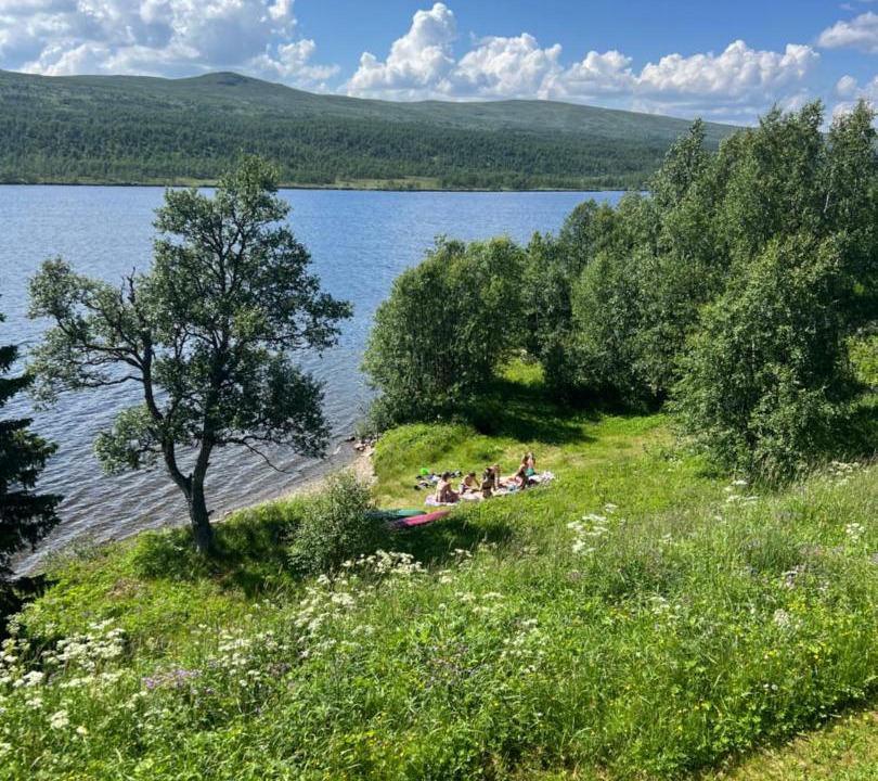 Photo of Others in Fjallnas